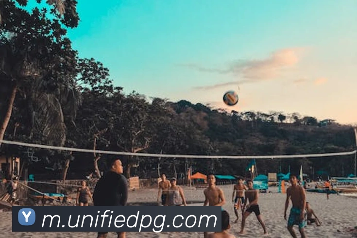 多媒体互动体验